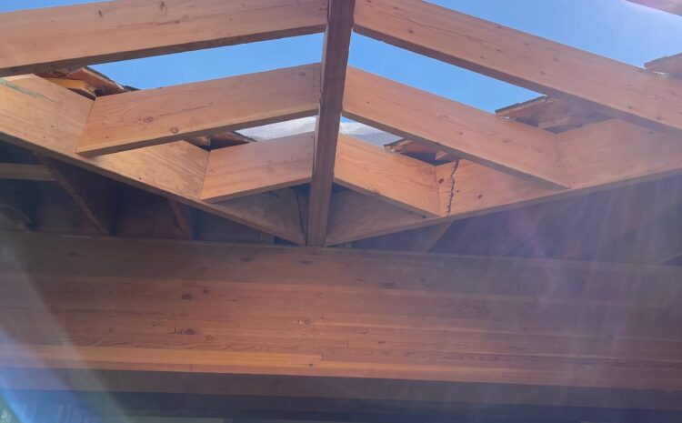 Apel Client Gallery During Construction