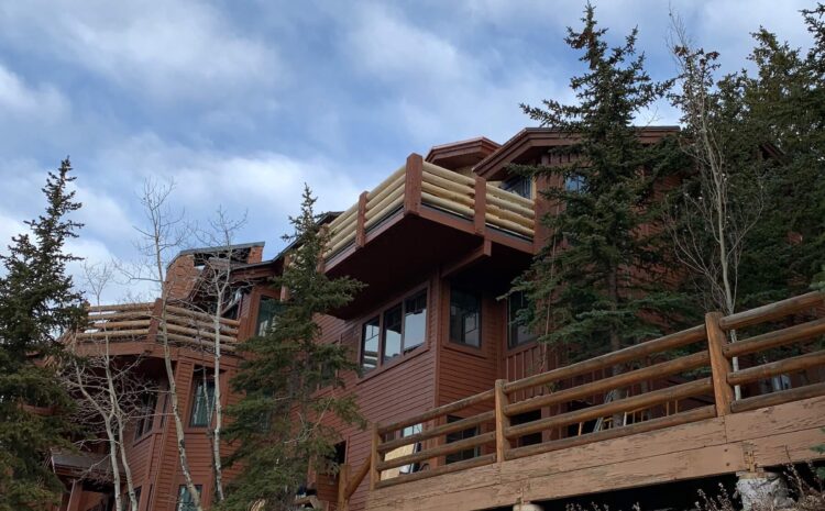 Apel Client Gallery During Construction