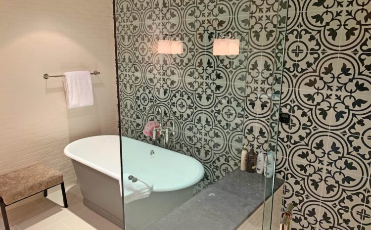 Stag #18 Client Gallery