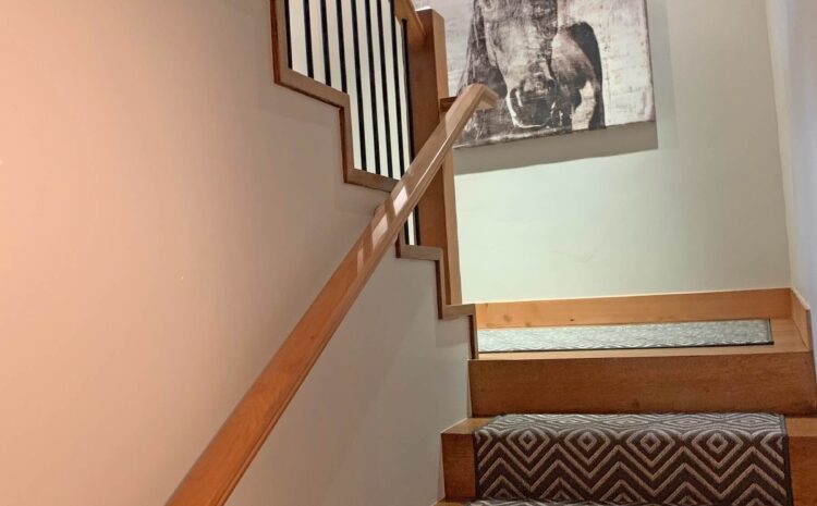 Stag #18 Client Gallery