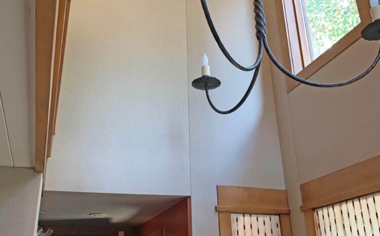 Stag #18 Client Gallery